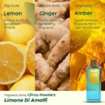 Top, middle, and base notes in Plix Limone Di Amalfi Perfume